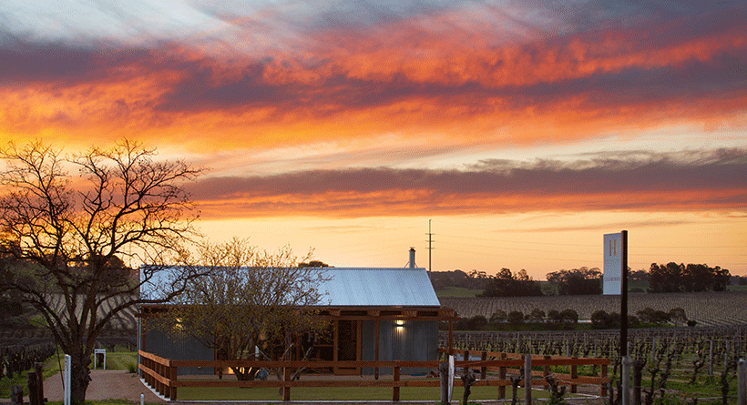 Hayes Family Wines Sunset and Cellar Door